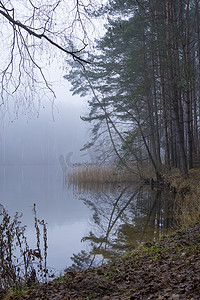 大气有薄雾的秋天风景