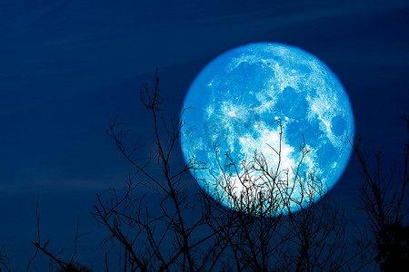 森林夜摄影照片_夜空中的超级满月背干枯的树枝在