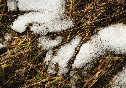 草坪下雪摄影照片_干草上的雪