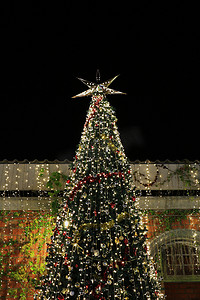 带夜灯的圣诞树装饰背景、圣诞假期庆典、圣诞树、新的欧洲冬天