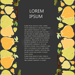 橙色和黄色梨无缝垂直边界与黑色复制空间矢量插图。