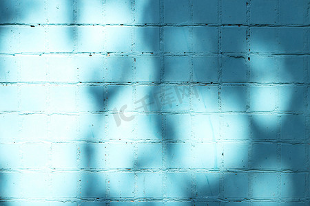 太阳光线中的蓝色彩绘瓷砖墙纹理与树影。