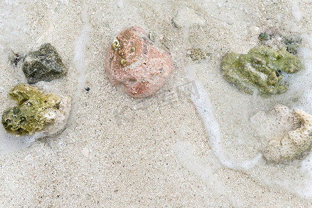 清澈大海摄影照片_水下的石头