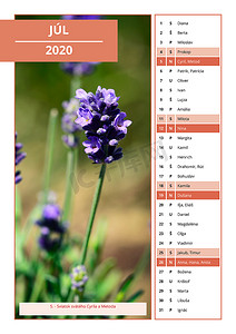 日历星期天摄影照片_带有 2020 年 7 月名称的斯洛伐克日历