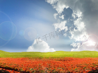 绿野农业摄影照片_红花落在绿野阳光背云中