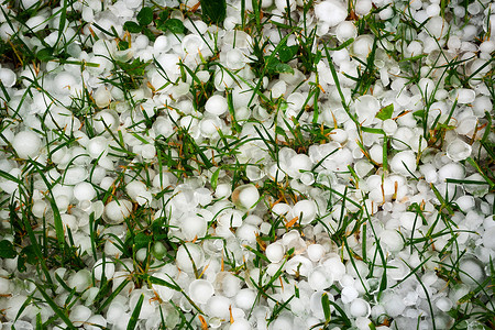 暴雨摄影照片_在损坏的草的冰雹