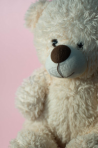 粉红色背景中的泰迪熊