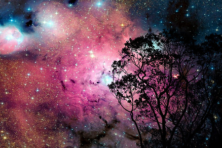模糊星系星云回到树上的夜云天空