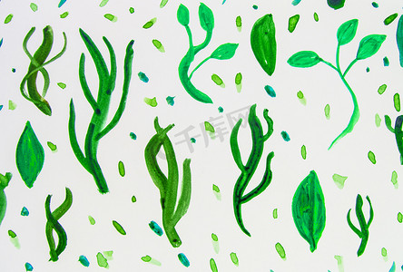写意树枝摄影照片_植物元素的水彩插图集-草植物、叶子、白色背景上的绿色树枝