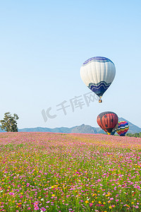 宇宙花卉农场中的气球