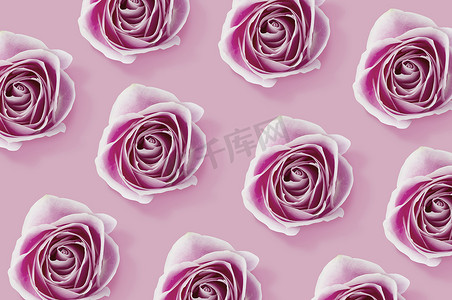 瑰玫花摄影照片_粉红色背景上的粉红色玫瑰花朵图案