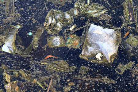 工业垃圾摄影照片_污水中的脏水、垃圾苔藓、腐烂的废水、工业水污染、水环境问题污染污垢污水中的废物