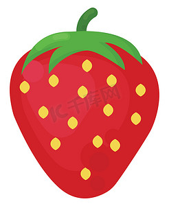 扁平草莓，插图，白色背景上的矢量