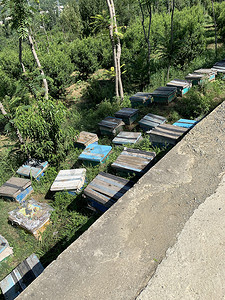 巴基斯坦北部道路附近的蜜蜂箱