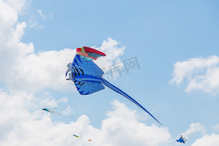 风筝摄影照片_风筝在蓝蓝的天空中飞翔