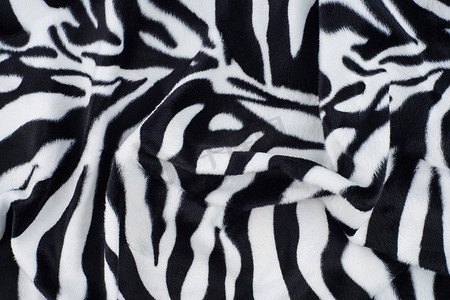 斑马纹理摄影照片_斑马纹理与米色白色和黑色。