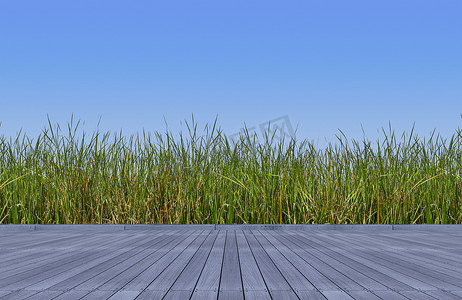 3d 渲染木地板和绿色野草