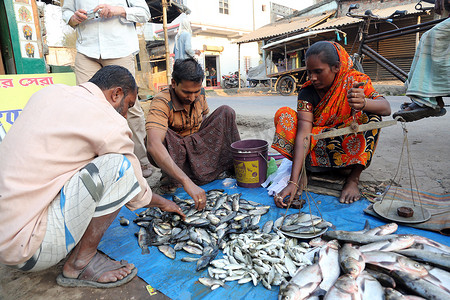 印度西孟加拉邦 Kumrokhali 的鱼市