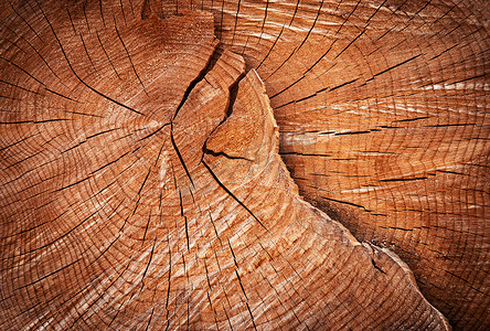 树年轮纹理摄影照片_裂缝细节年轮