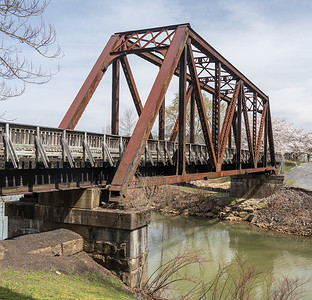 樱花校园摄影照片_钢梁桥载着德克斯溪摩根镇上的自行车步道