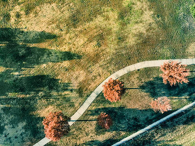 顶视图草坪摄影照片_得克萨斯州达拉斯附近有五颜六色的秋叶的顶视图弯曲路径