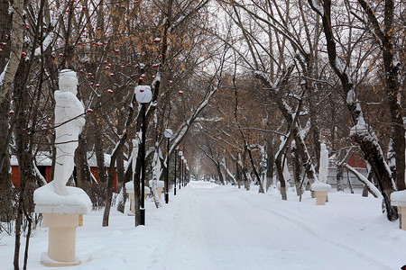 下雪路摄影照片_冬季公园的雪路