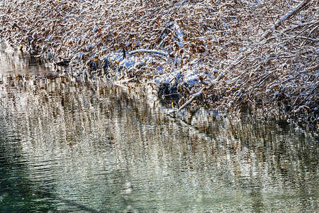 冬季 树叶 Snow 冰 抽象 Wenatchee River Valley Leavenwo
