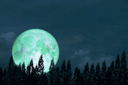 黄昏夜晚天空摄影照片_超级满蛋的月亮在夜晚的天空回到剪影松树上
