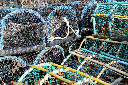 龙虾笼和鱼缸
