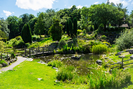 普雷斯顿阿文纳姆和米勒公园的日本花园