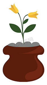 盆栽植物，插图，白色背景上的矢量