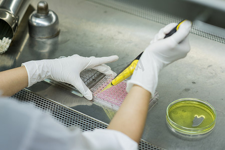 研究人员将测试液转移到 96 孔板中用于微生物
