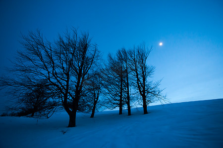 童话城摄影照片_与雪和月亮的童话冬天夜风景