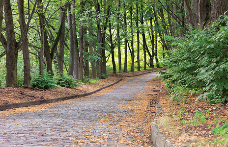 公路伸向远方的摄影照片_城市夏季旧公园的鹅卵石铺路石路伸向远方