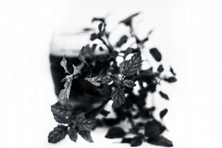 Tulsi 或圣罗勒的有机新鲜提取汁与生罗勒叶一起在白色上分离。