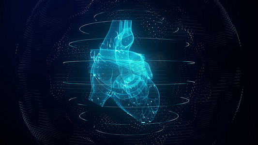 解剖学上正确的蓝色数字人类心脏。
