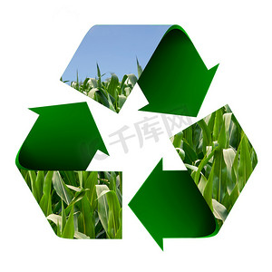 玉米田的回收标志