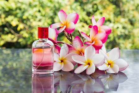 花瓶粉花摄影照片_单瓶粉红色花朵上的甜粉色香水和