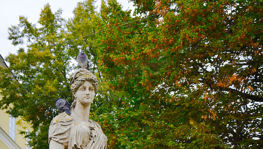 鸽子坐在古老的历史纪念碑上，注视着人们