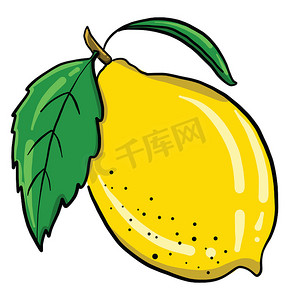 黄色柠檬，插图，白色背景上的矢量