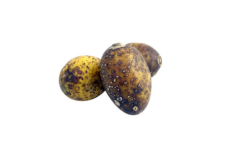 plum摄影照片_Hog Plum Spondias pinnata 森林水果（Makok 泰语）隔离在白色背景特写