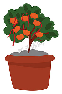 橘子树，插图，白色背景上的矢量