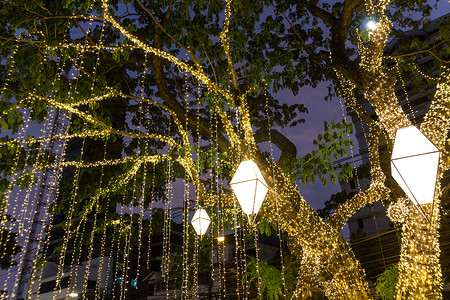 流星灯串摄影照片_夜间花园树上的 LED 灯串电缆