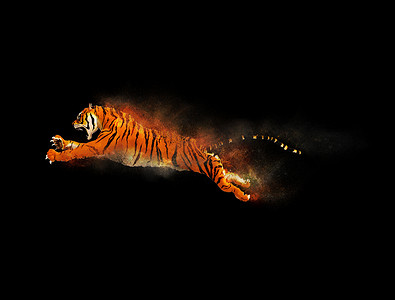 粒子移动摄影照片_一只老虎移动和跳跃与尘埃粒子效果