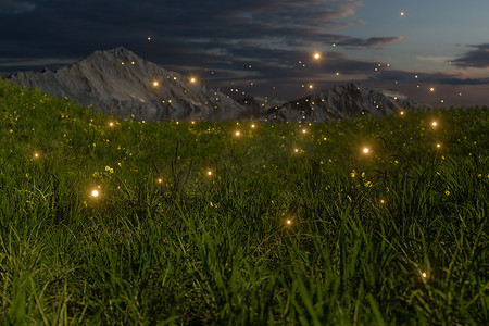 草地上的小花摄影照片_在草地上飞舞的萤火虫，3d 渲染。