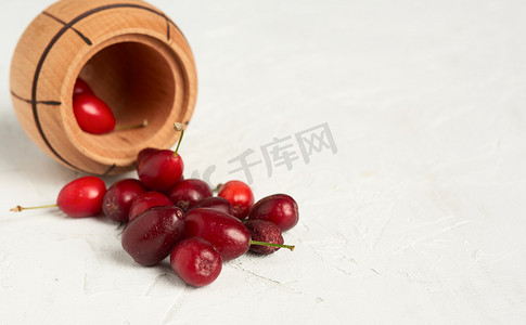 木碗里成熟的红山茱萸浆果，灰色背景，克洛斯