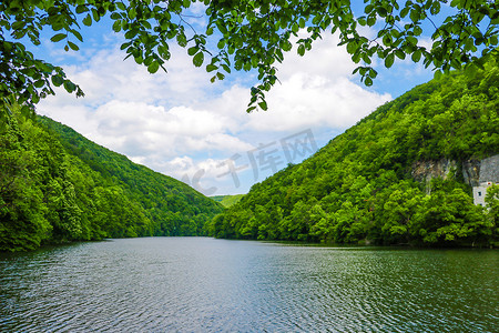 聚焦全国摄影照片_绿色森林景观。