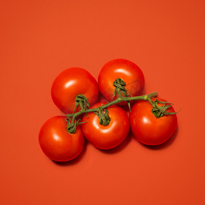 摘番茄摄影照片_从藤蔓上摘下来的。