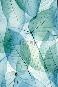 青色花卉背景图片_浅青色半透明树叶植物底纹背景