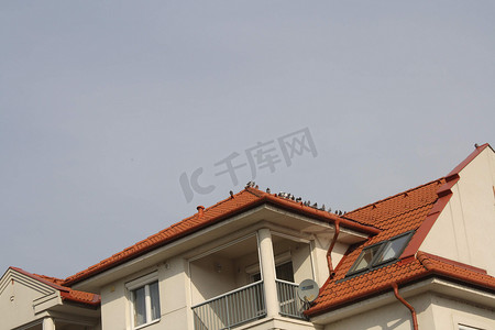 豪伊摄影照片_下午，豪伊杜索博斯洛的屋顶和屋顶上的鸟儿
